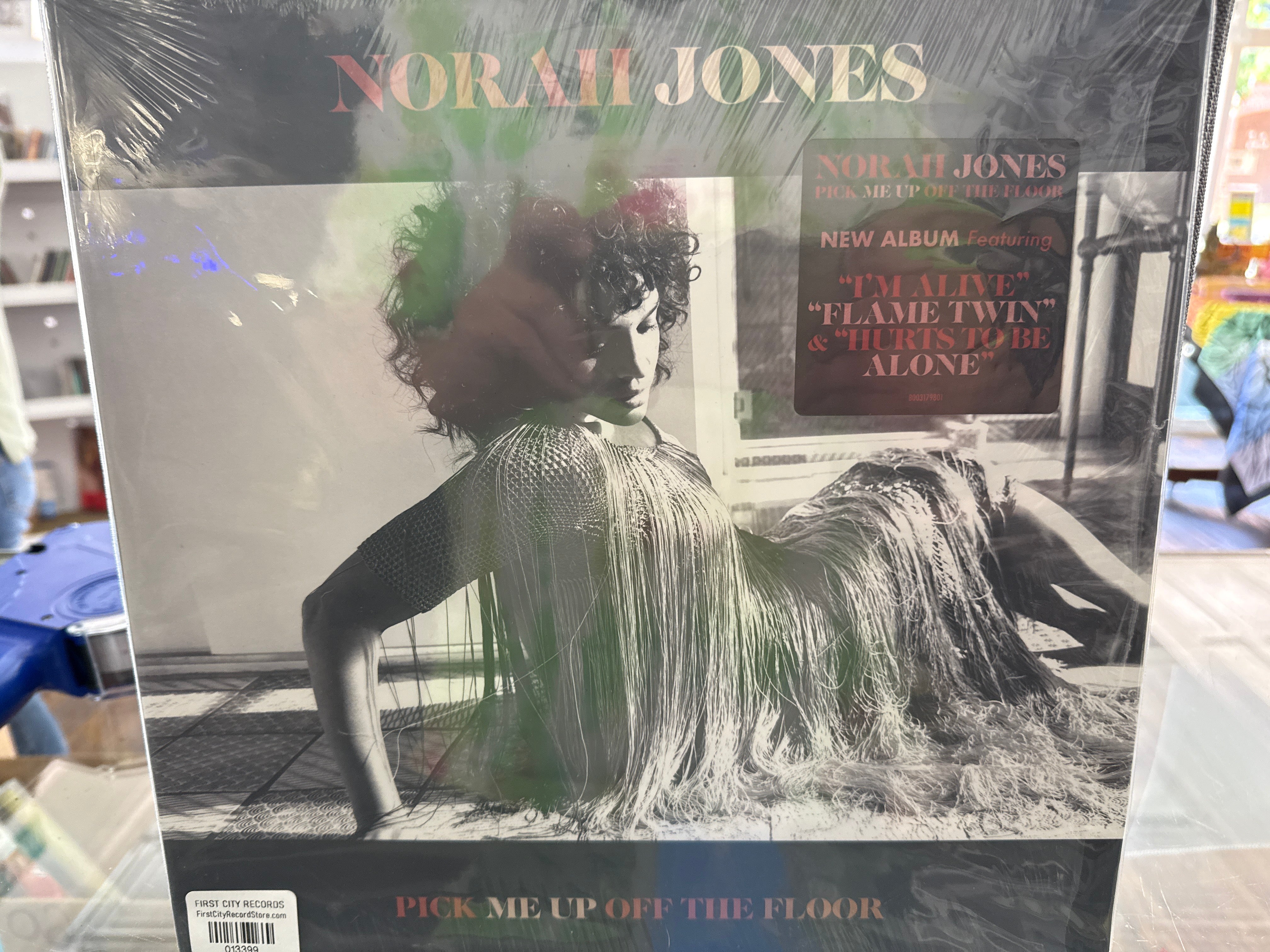 Norah Jones - Pick Me Up Off The Flood (2020, USED)