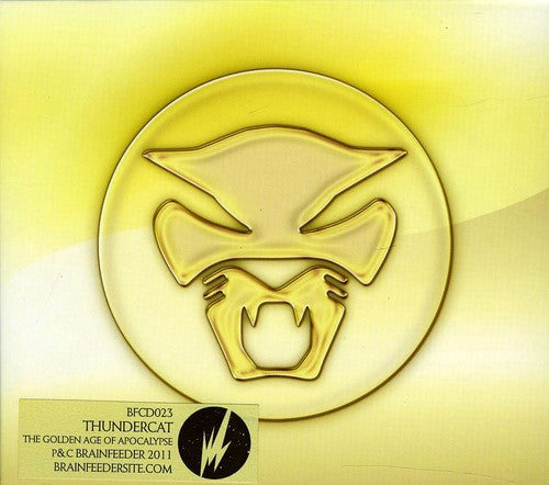 the album cover for Thundercat - Golden Age of Apocalypse