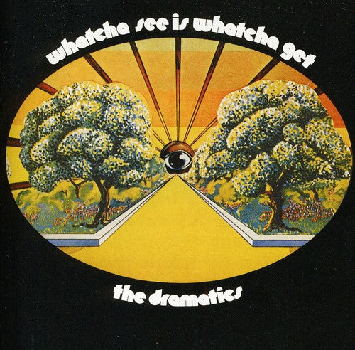 the album cover for The Dramatics - Whatcha See Is Whatcha Get