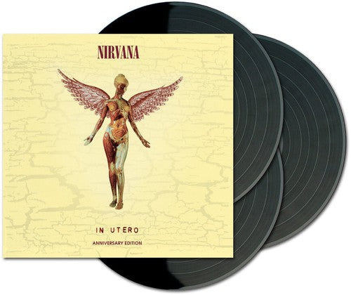 the album cover for Nirvana - In Utero: 20th Anniversary [Vinyl]