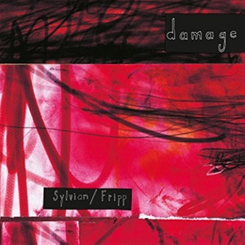 the album cover for David Sylvian & Robert Fripp - Damage