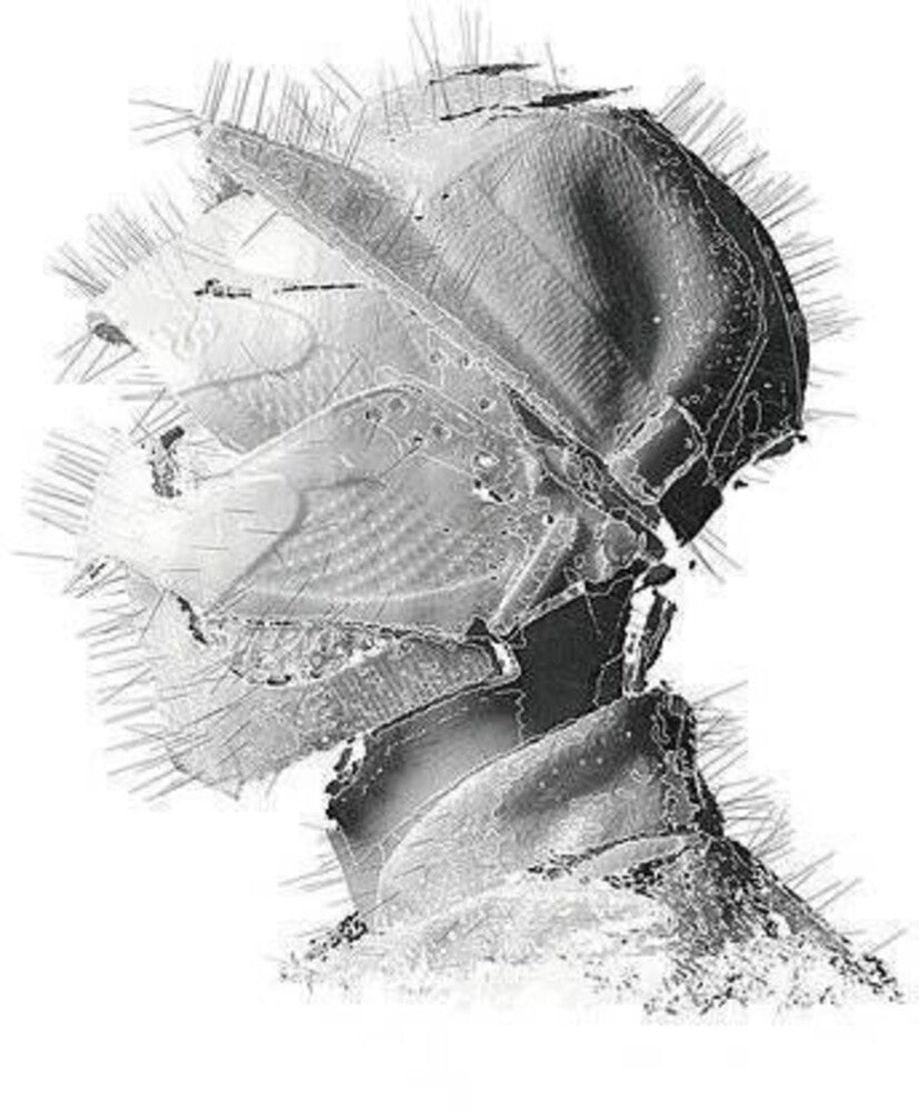 the album cover for Woodkid - Golden Age