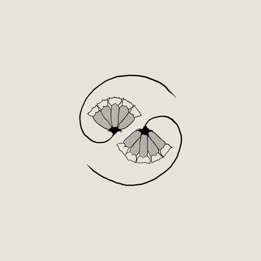 the album cover for Godspeed You! Black Emperor - G_D's Pee At State's End! [180 gram LP + 10in]