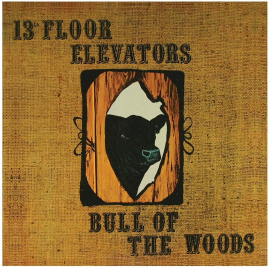 the album cover for The 13th Floor Elevators - Bull Of The Woods
