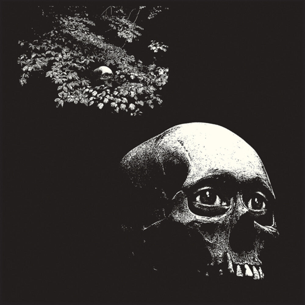 the album cover for Osees - Foul Form