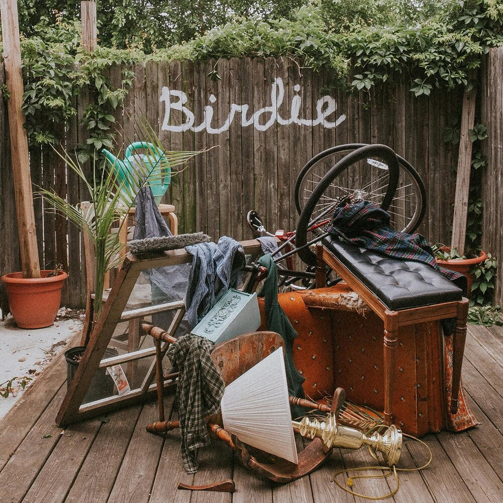 the album cover for Slaughter Beach, Dog - Birdie [Colored Vinyl] (Grn) (Can)