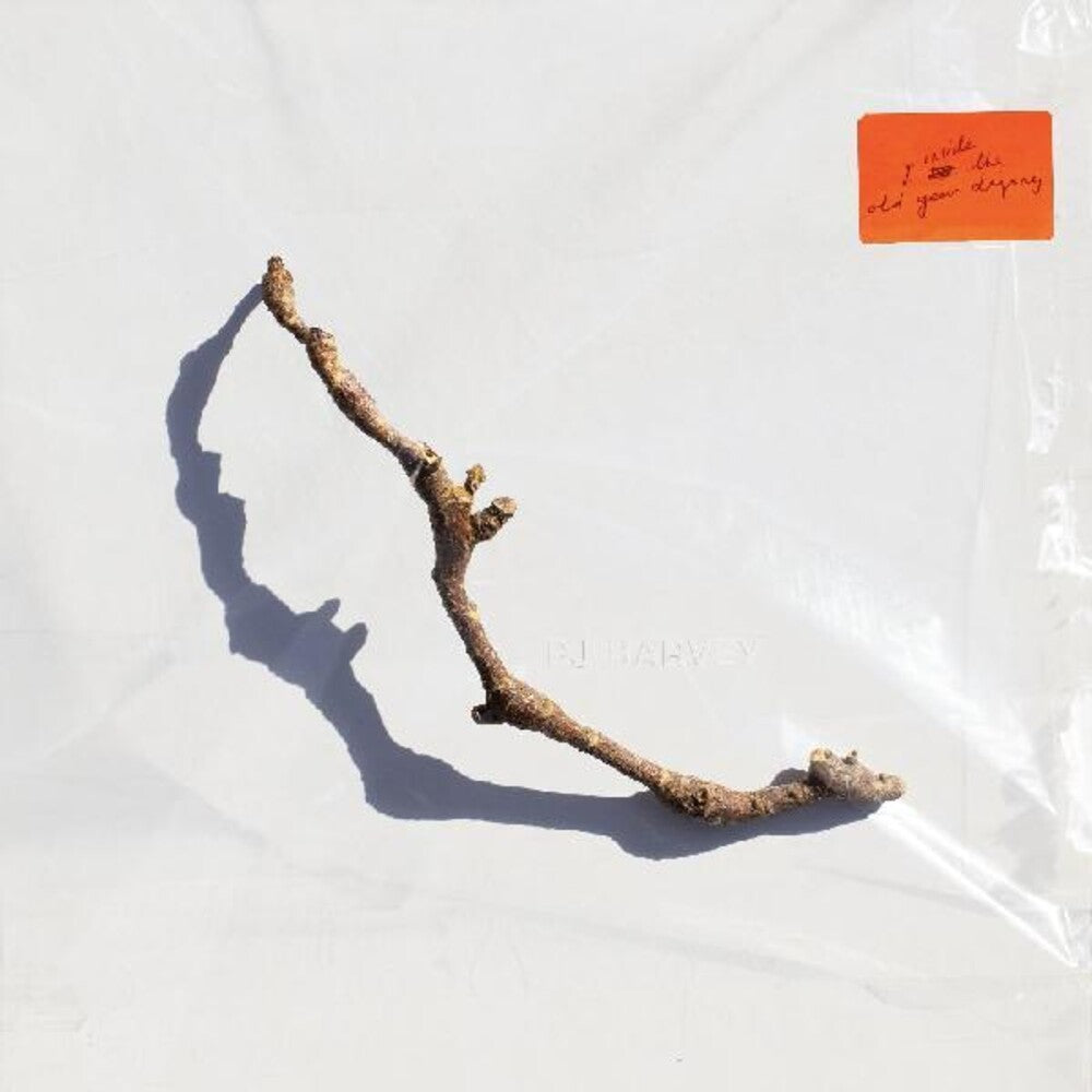 the album cover for PJ Harvey - I Inside the Old Year Dying [LP]
