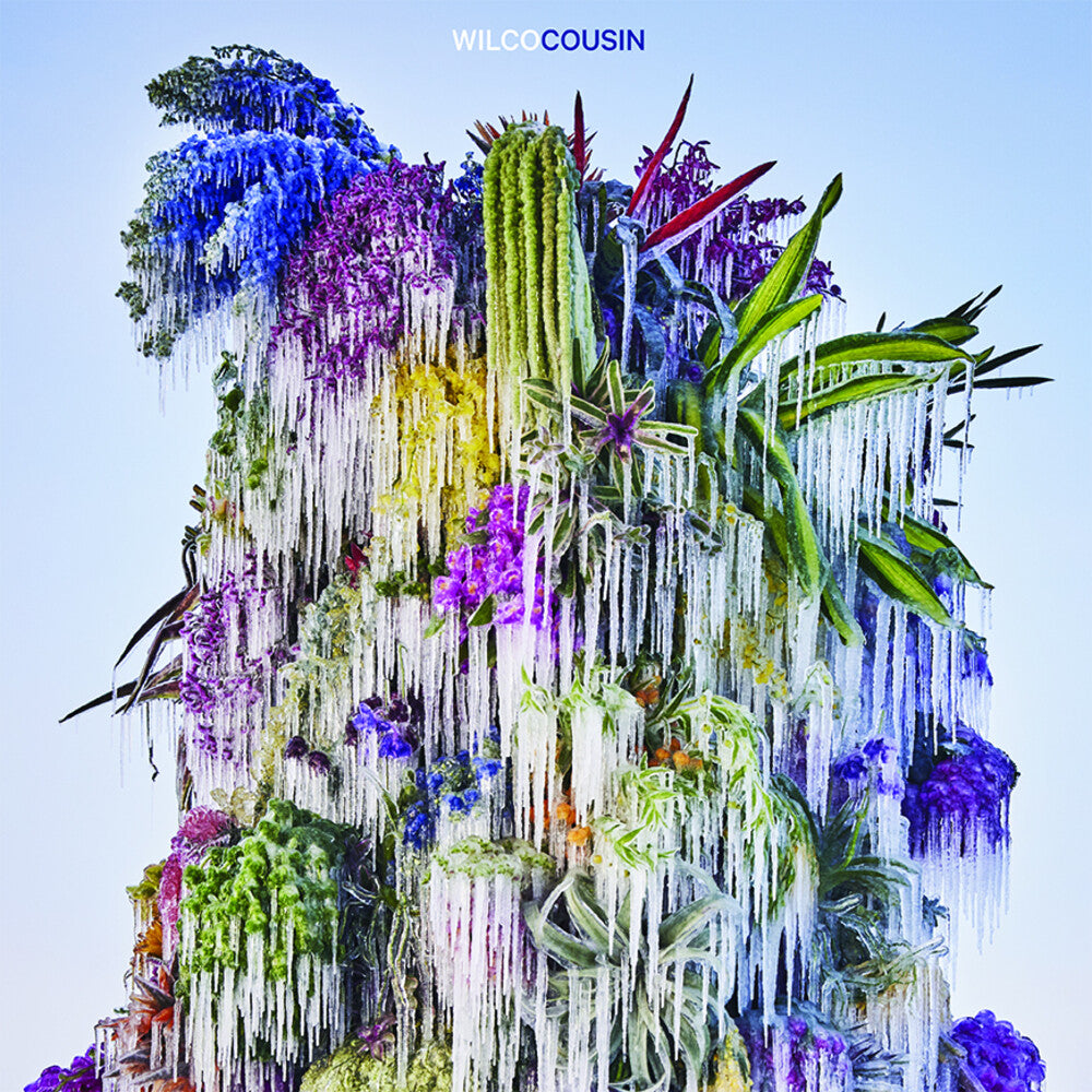 the album cover for Wilco - Cousin