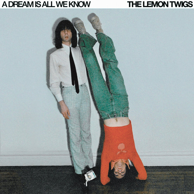 the album cover for The Lemon Twigs - Dream Is All We Know