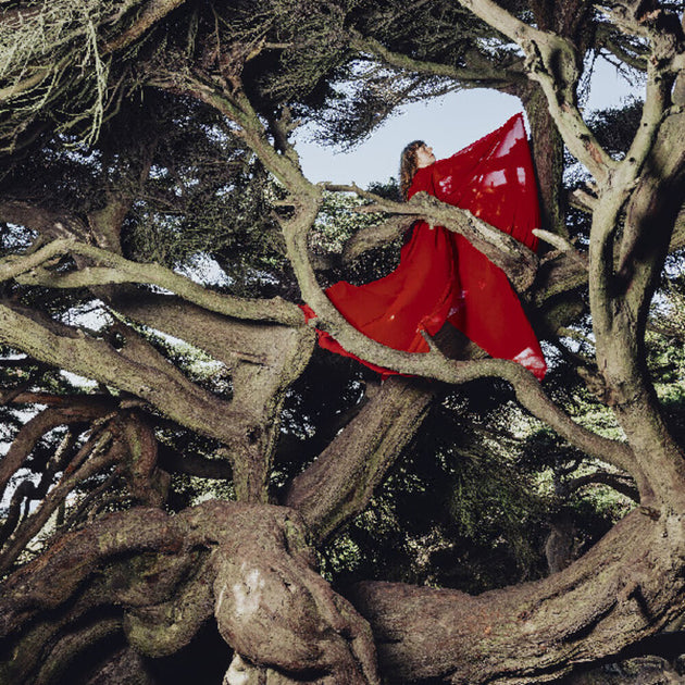 the album cover for Hannah Frances - Nested In Tangles [Colored Vinyl] (Red)