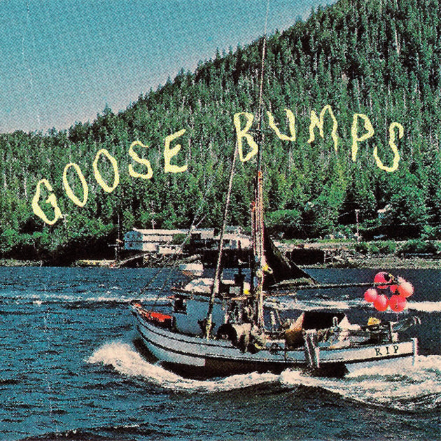 the album cover for Boyscott - Goose Bumps [Blue Marble]