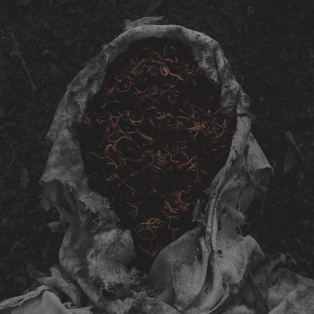 the album cover for Gorrch - Stillamentum