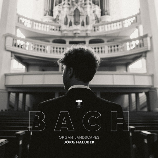 the album cover for Jorg Halubek - Organ Landscapes