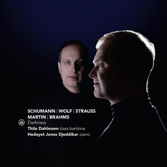 the album cover for Thilo Dahlmann - Darkness