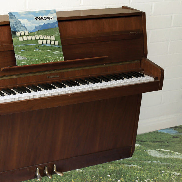 the album cover for Grandaddy - Sophtware Slump On A Wooden Piano - Eco Mix [Colored Vinyl]