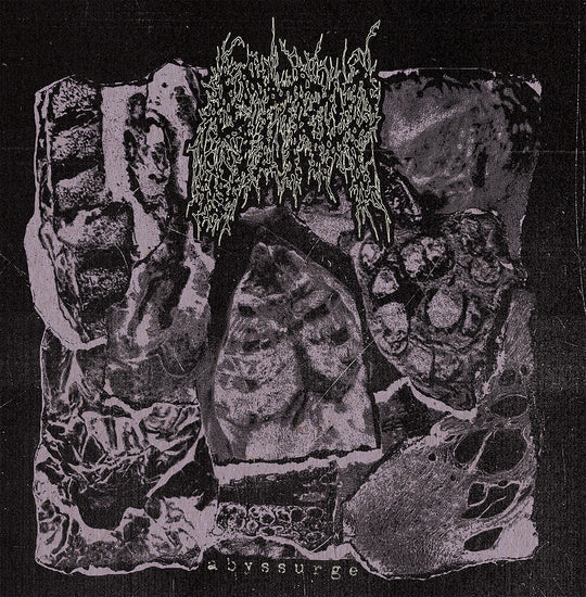 the album cover for Strup - Abyssurge