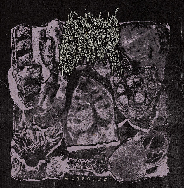 the album cover for Strup - Abyssurge