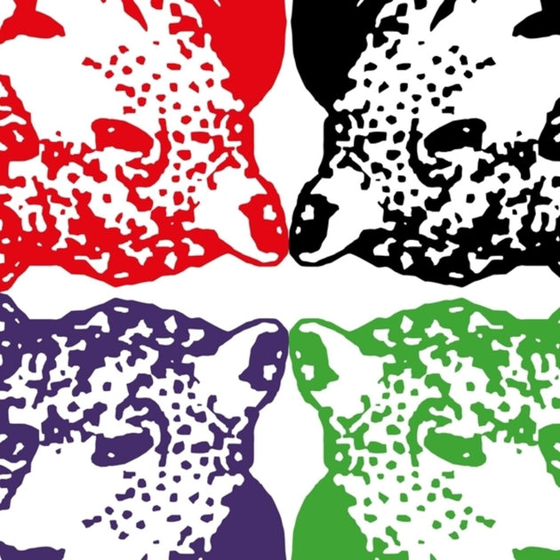 the album cover for Tiger & Woods - Through The Green