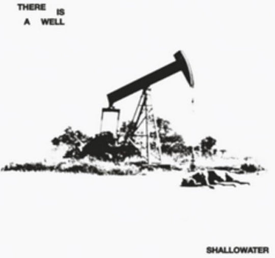 the album cover for Shallowater - There Is A Well [Colored Vinyl]