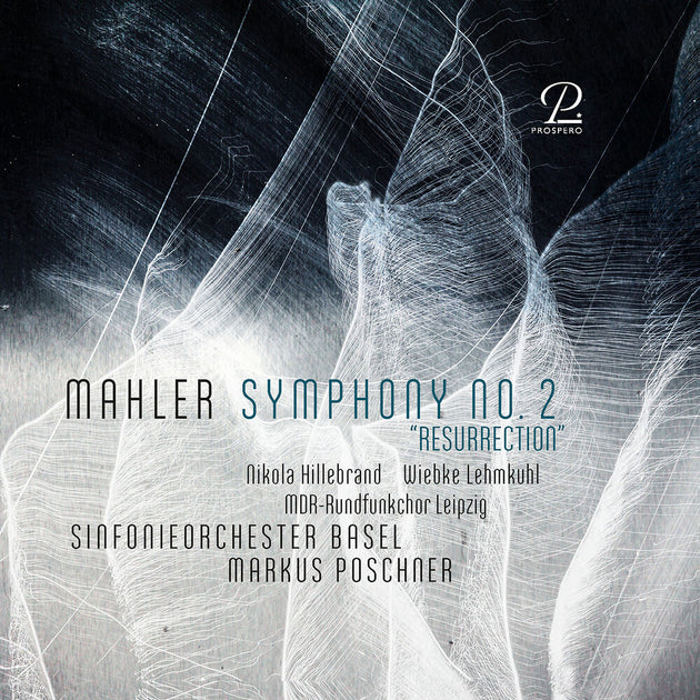 the album cover for Wiebke Lehmkuhl - Symphony No. 2