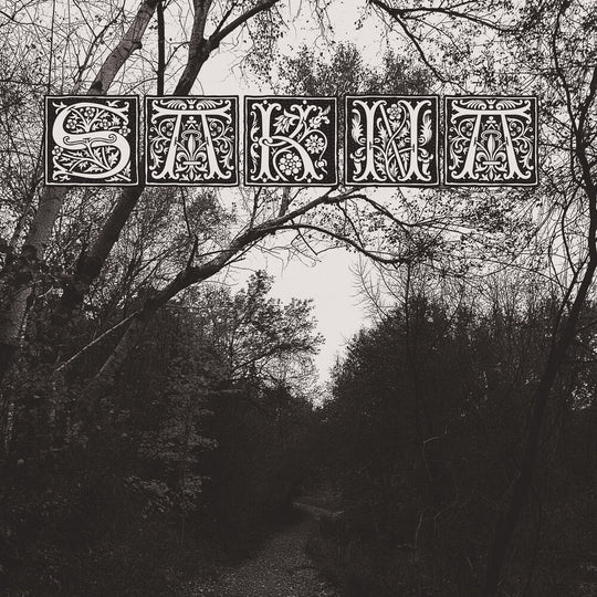 the album cover for Sakna - De Syv Dodssynder