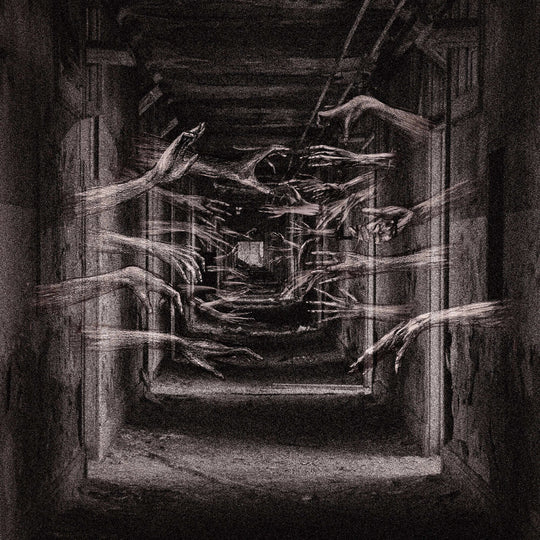 the album cover for Demonic Possessor - Porous Chambers