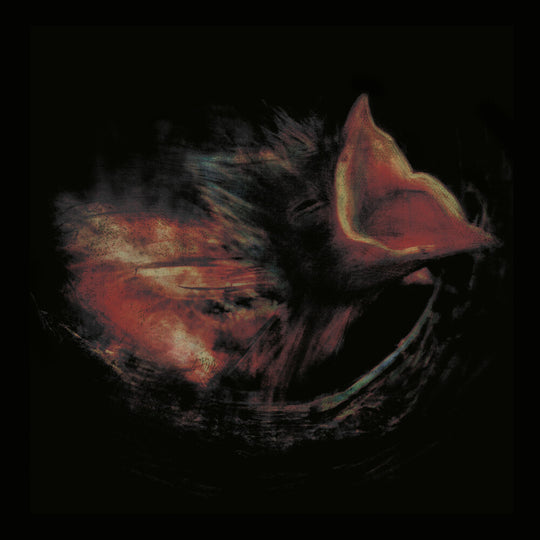 the album cover for Gurriers - Nobody's Coming To Save You [Black]