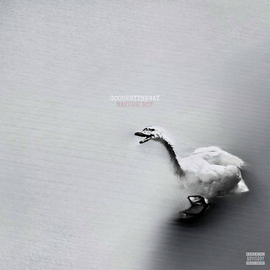 the album cover for Goosebytheway - Nature Boy [White Vinyl]