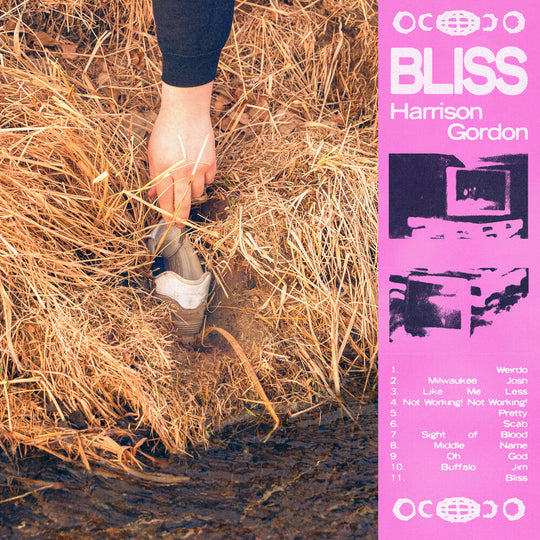the album cover for Harrison Gordon - Bliss