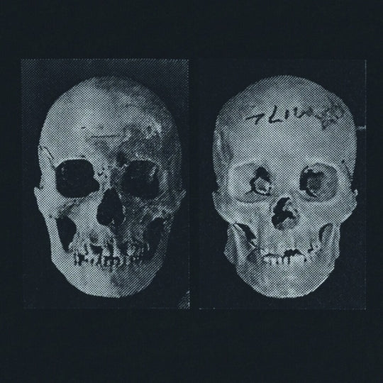 the album cover for Government Alpha - Human Race Was Restored To Life Repeatedly