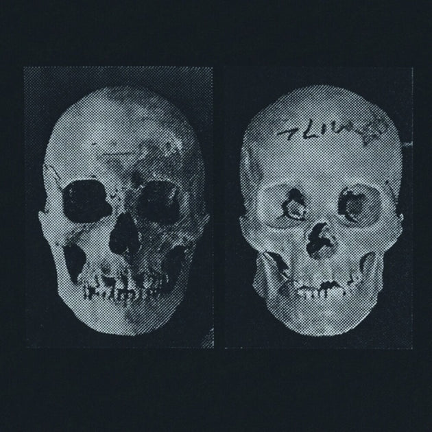 the album cover for Government Alpha - Human Race Was Restored To Life Repeatedly
