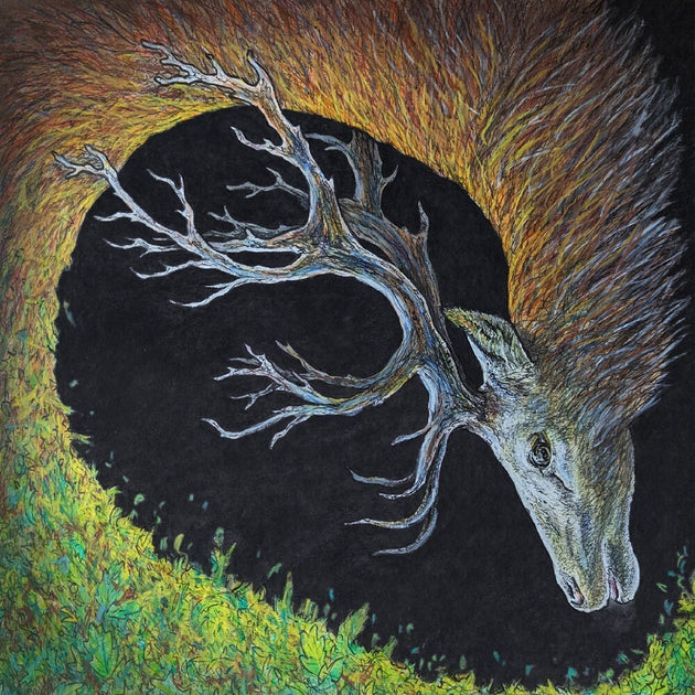 the album cover for Petrels - Infangthief - Clear Black Smoke (Blk) [Clear Vinyl] [Deluxe]