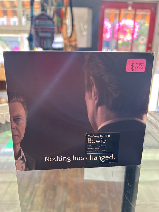 David Bowie - Nothing Has Changed