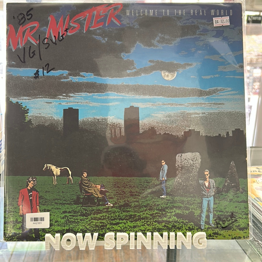 Mr Mister - Welcome To The Real World