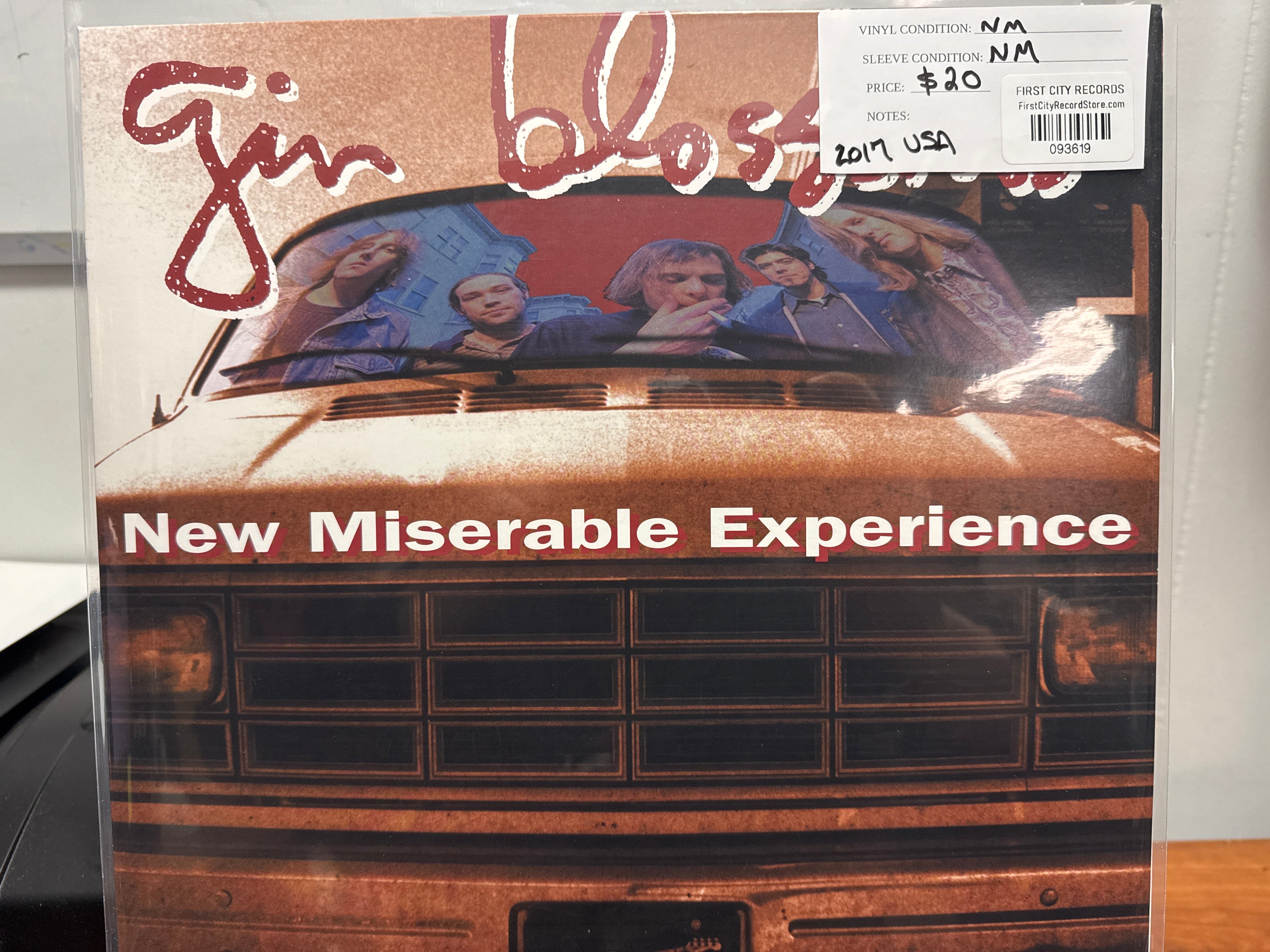 Gin Blossoms - New Miserable Experience (USED)
