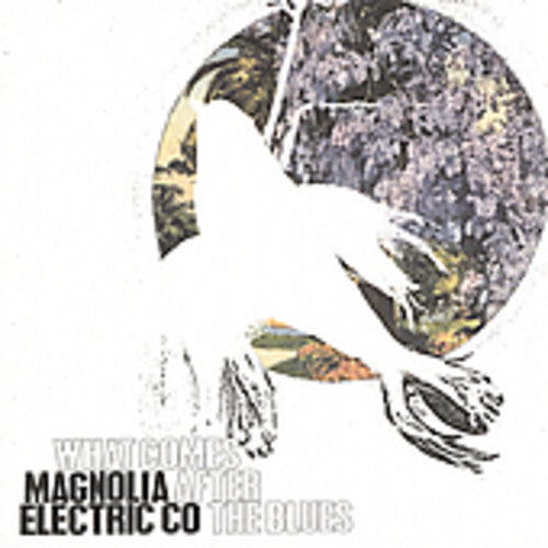 the album cover for Magnolia Electric Co. - What Comes After the Blues