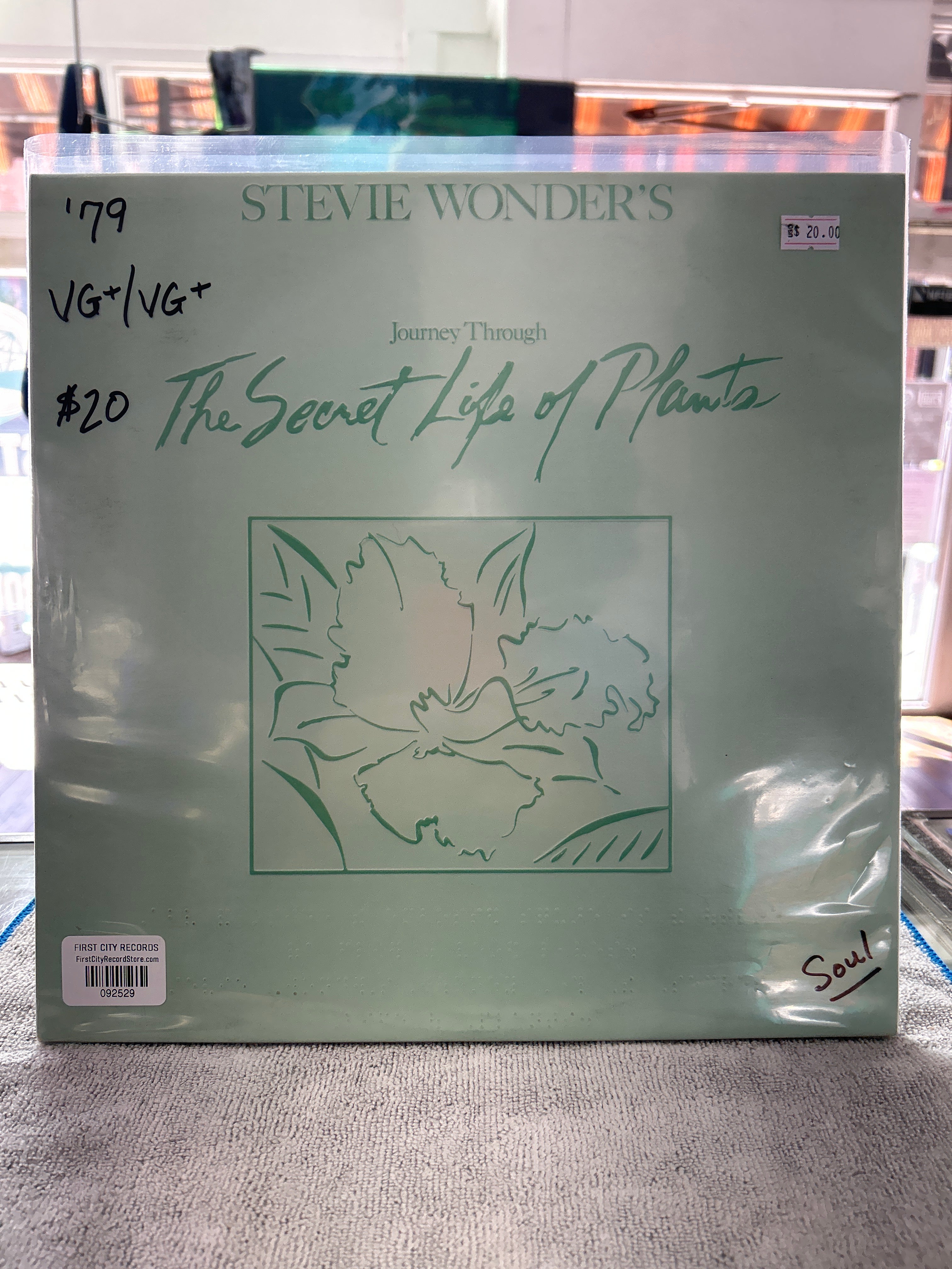 Stevie Wonder - The Secret Life Of Plants
