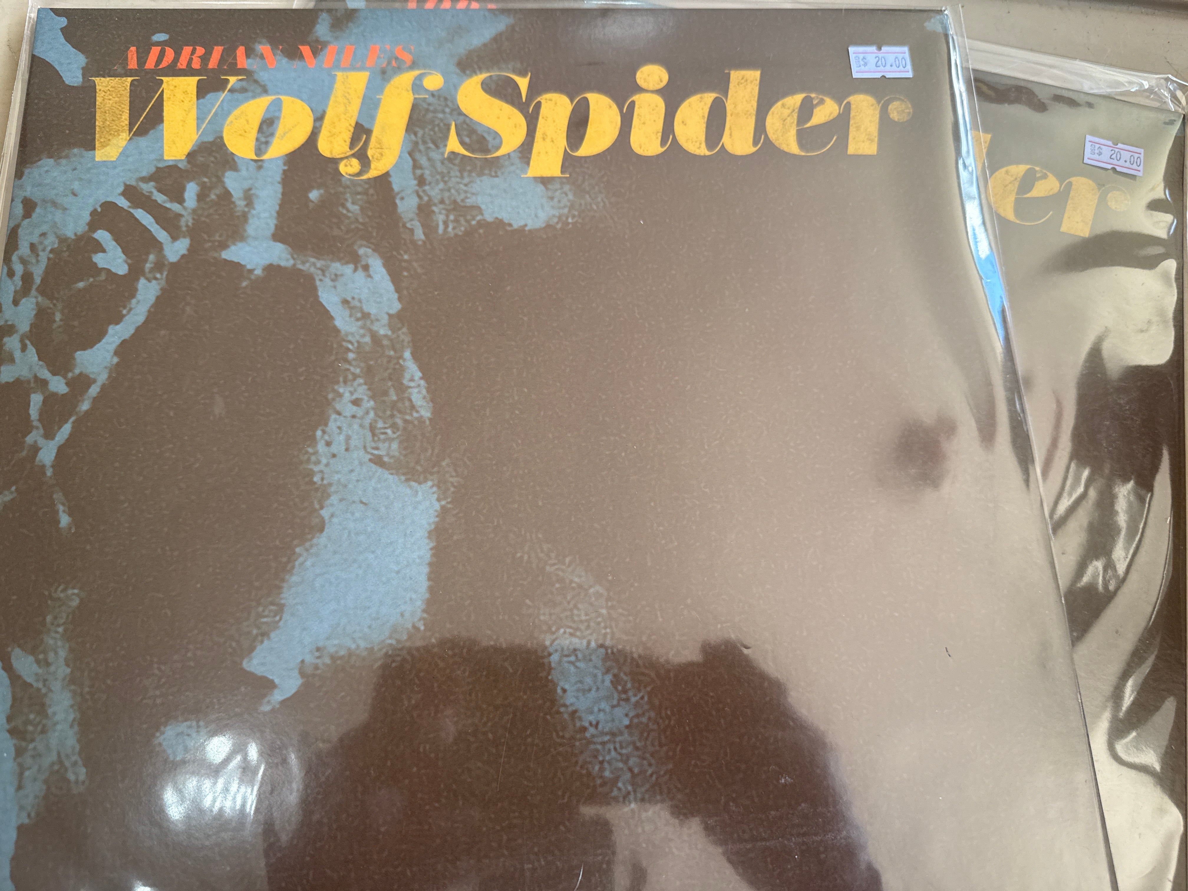 Adrian Miles - Wolf Spider