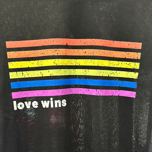 Love Wins Small shirt