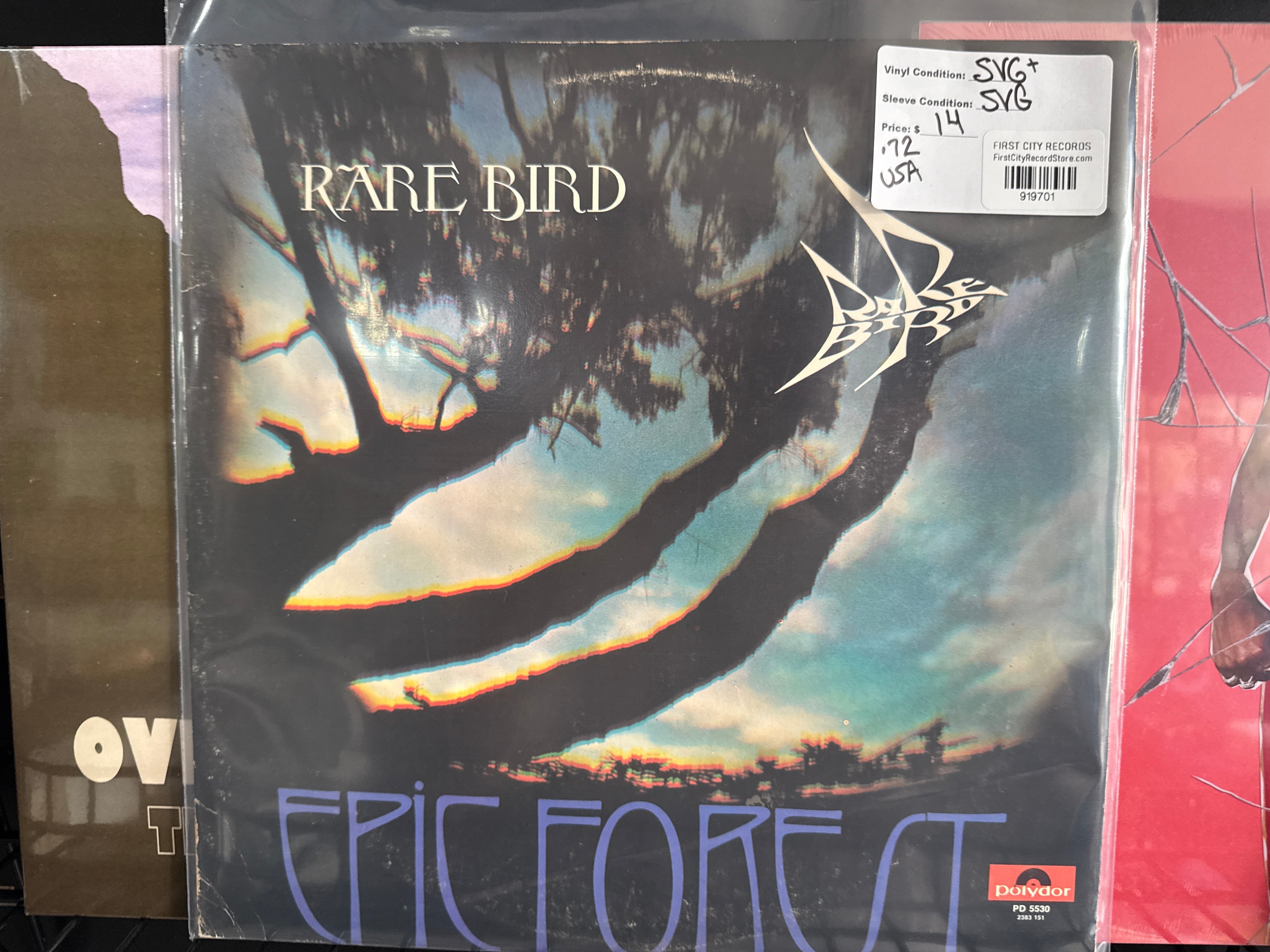 Rare Bird - Epic Forest (1972, USED)