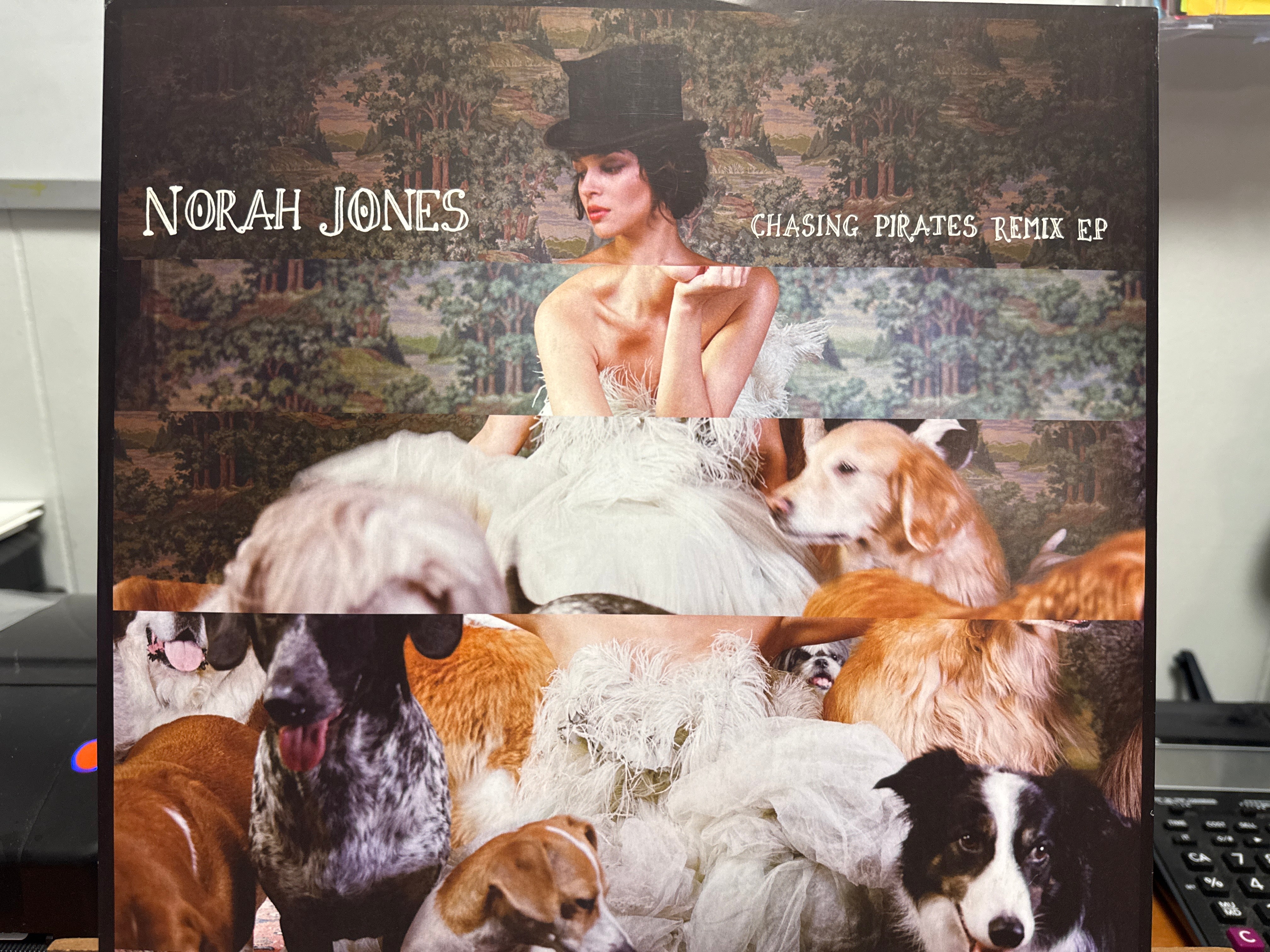 Norah Jones - Chasing Pirates Remix EP (USED)