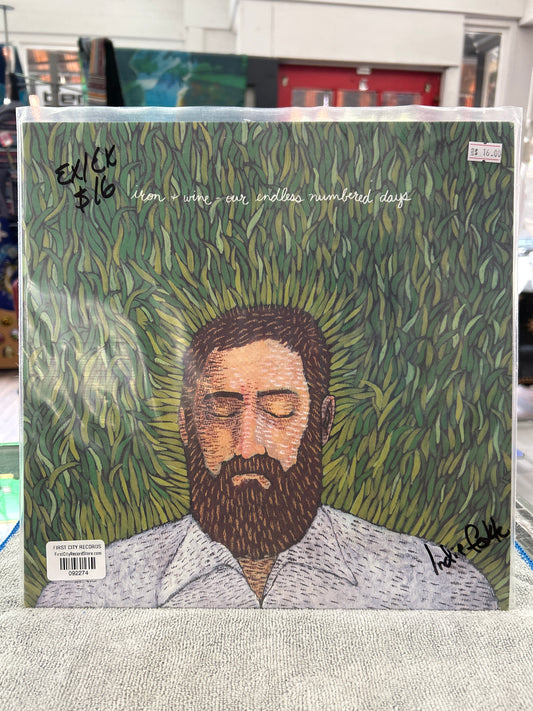 Iron and Wine - Our Endless Numbered Days