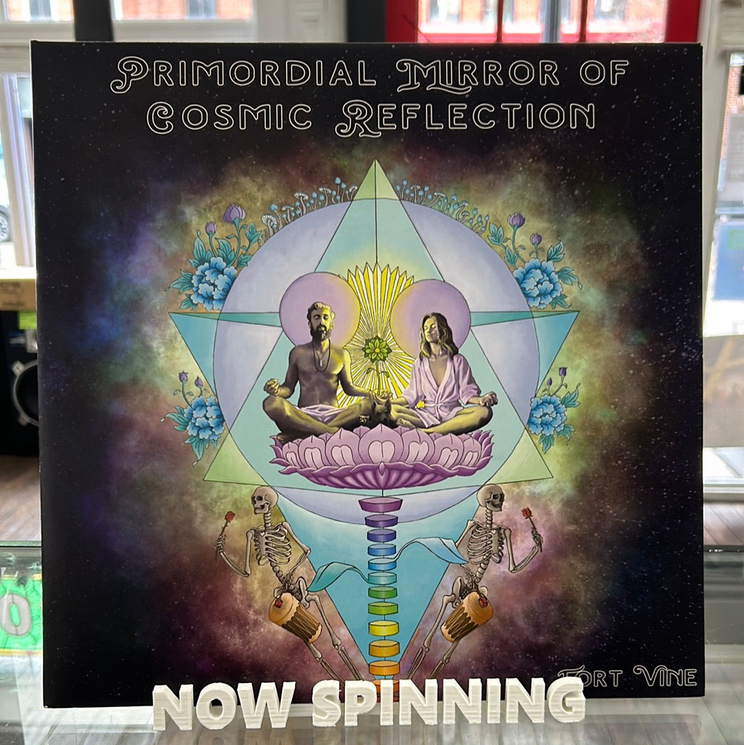 Fort Vine - Primordial Mirror Of Cosmic Reflection