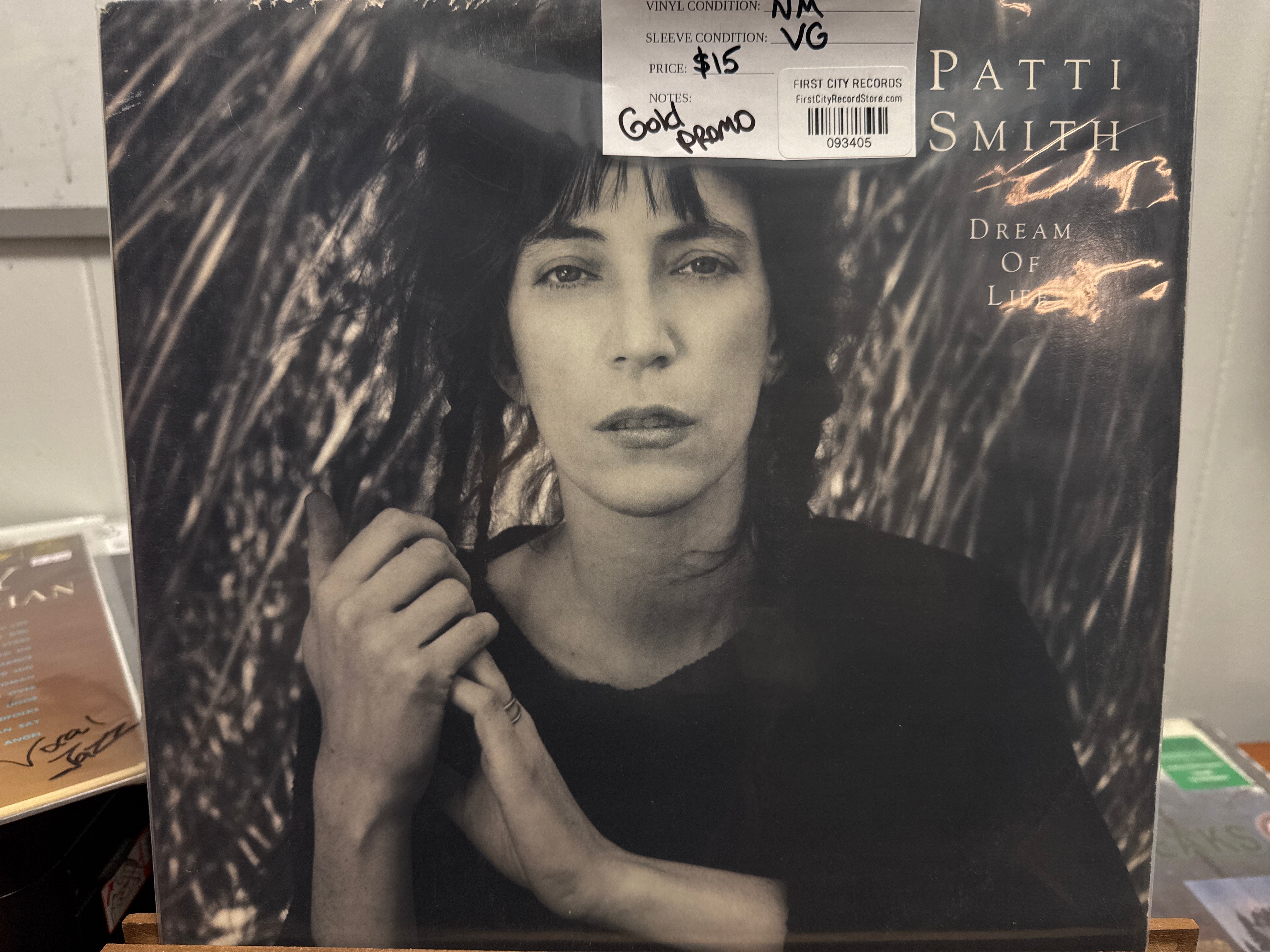 Patti Smith - Dream of Life (USED)