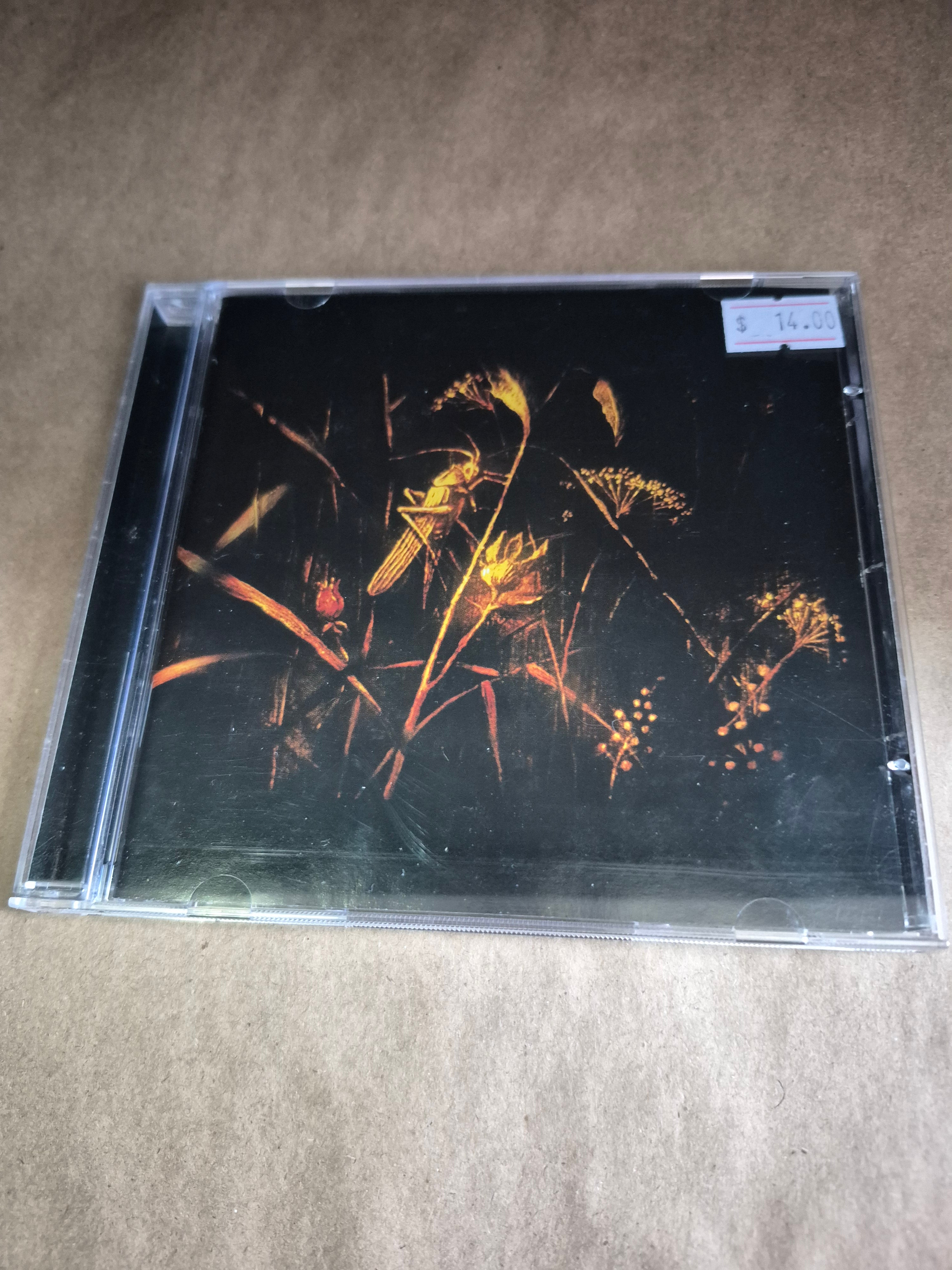 Pat Matheny & Anna Maria Jopek - Upojenie (CD)