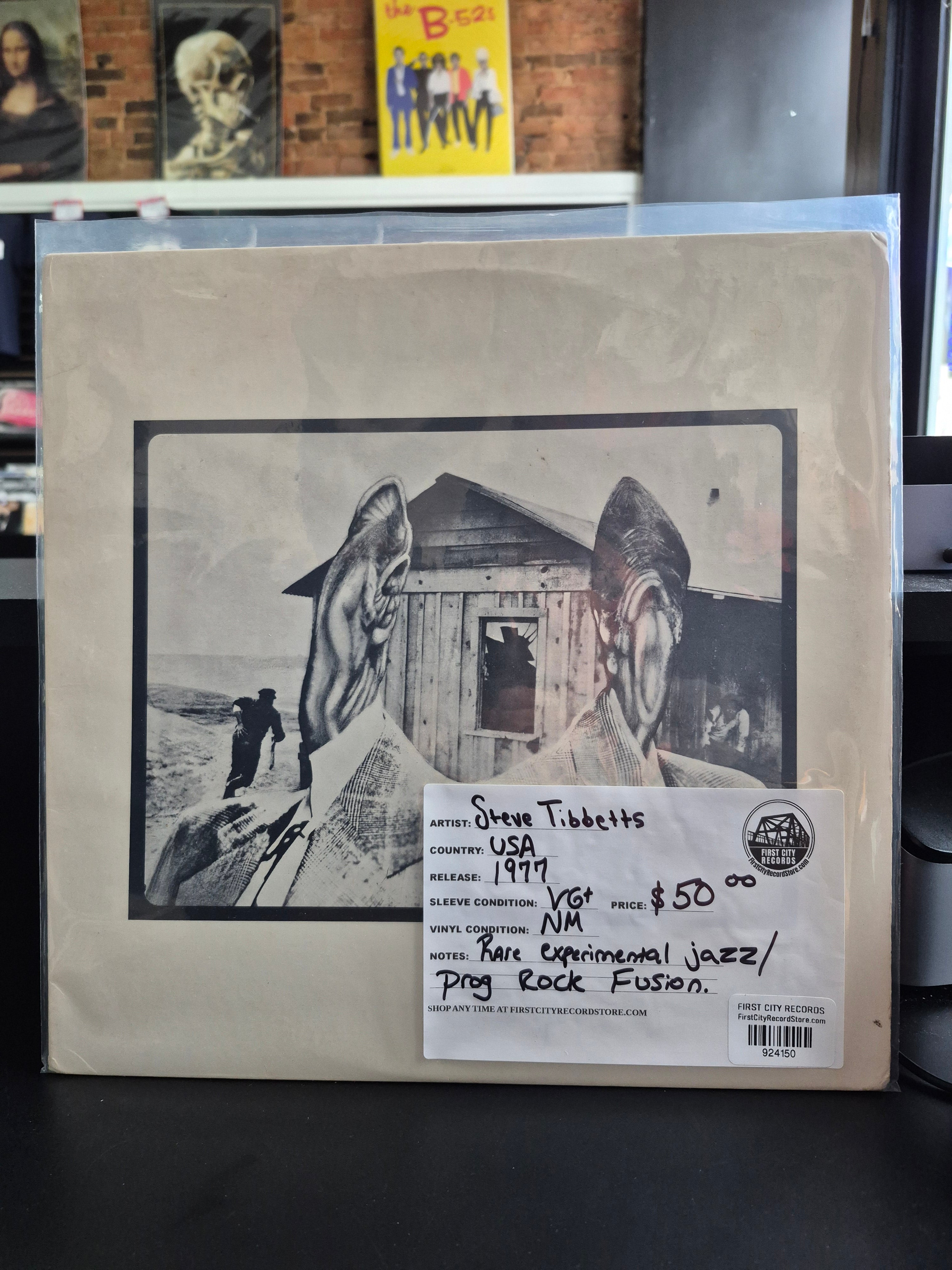 Steve Tibbetts - Self Titled (1977, USED)