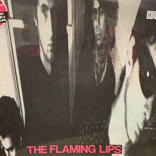 The Flaming Lips - In A Priest Driven Ambulance